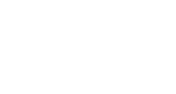 LOGO TT CAPITAL