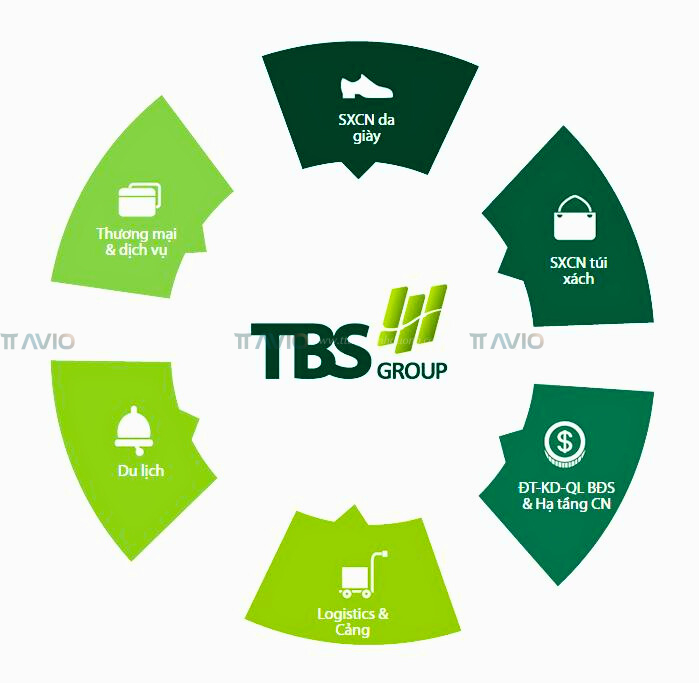 Lĩnh Vực Hoạt động Tbs Land Lĩnh Vực Hoạt động Tbs Land