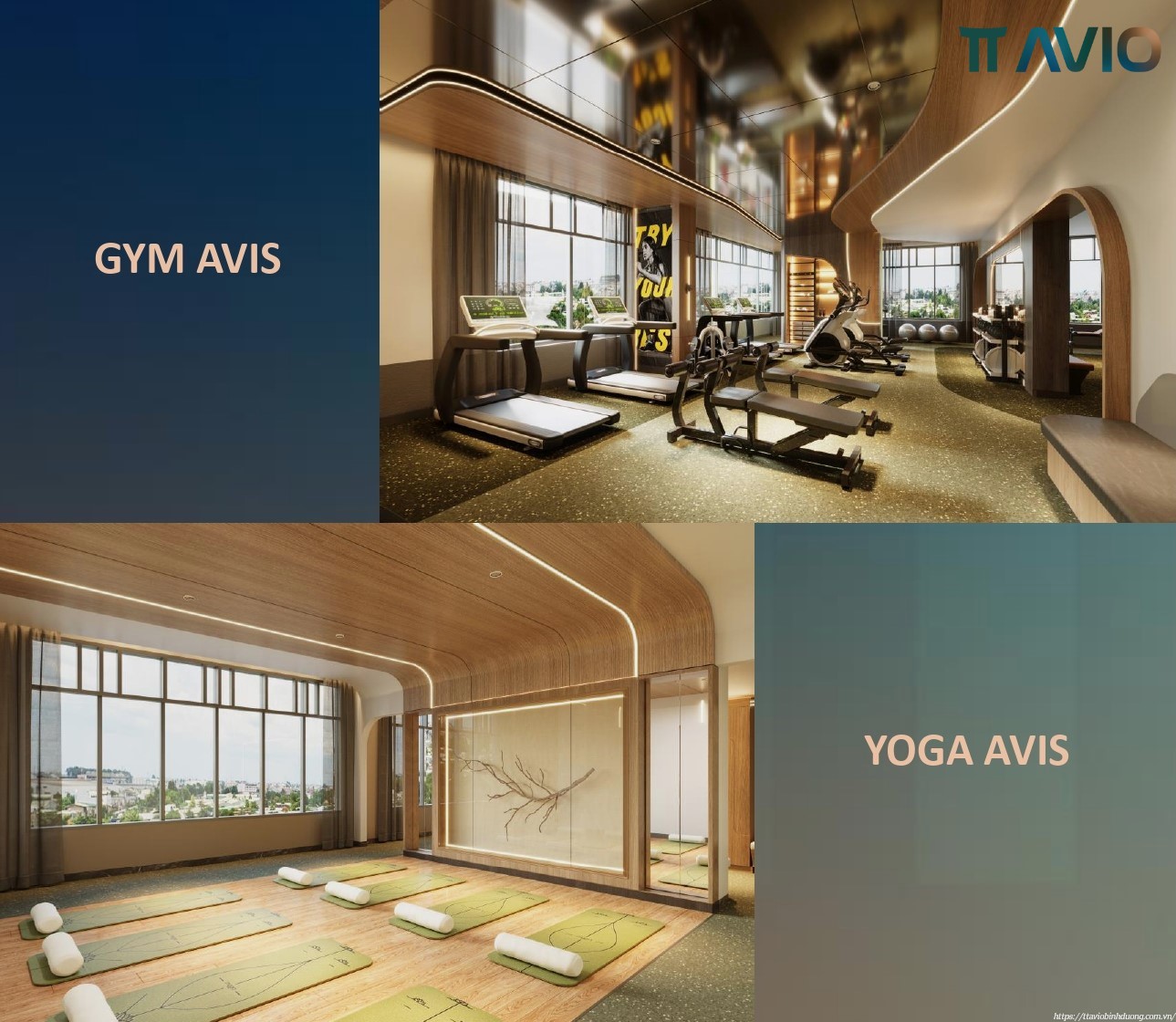 Phòng Tập Gym Yoga Tại Dự án Tt Avio