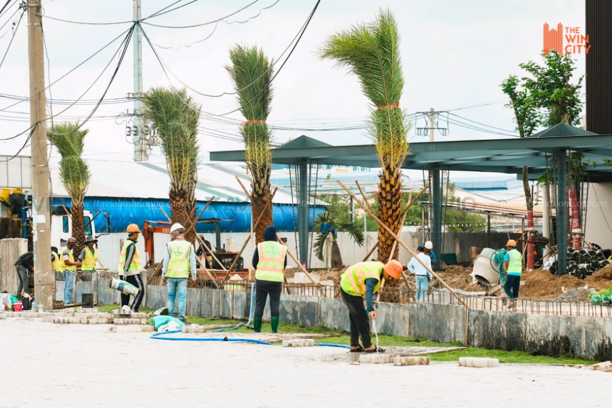 Tiến độ The Win City (1)
