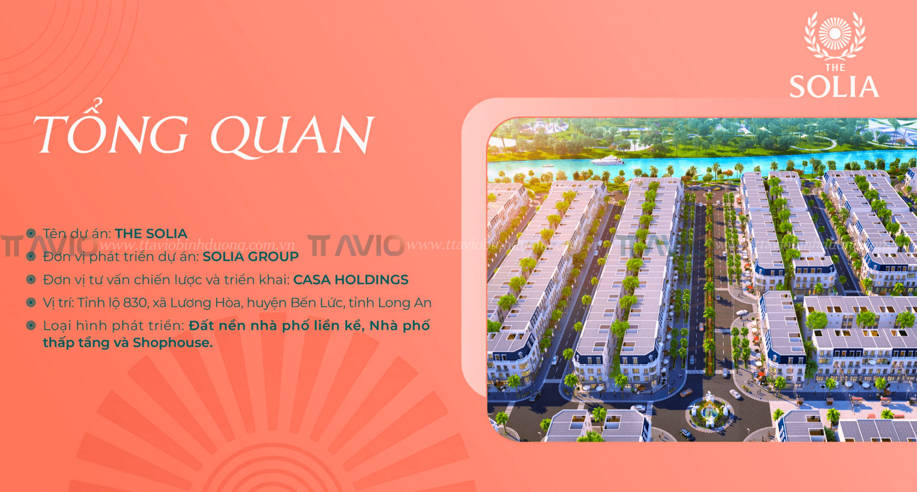 Tong-quan-the-solia